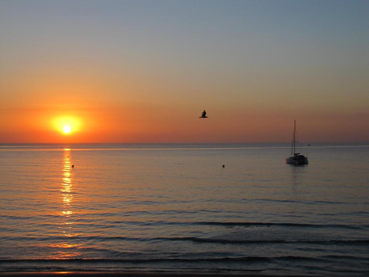 Excepcional Apartamento Amanecer Al Borde De Playa Y Mar, En Chalet Roquetes アリカンテ エクステリア 写真
