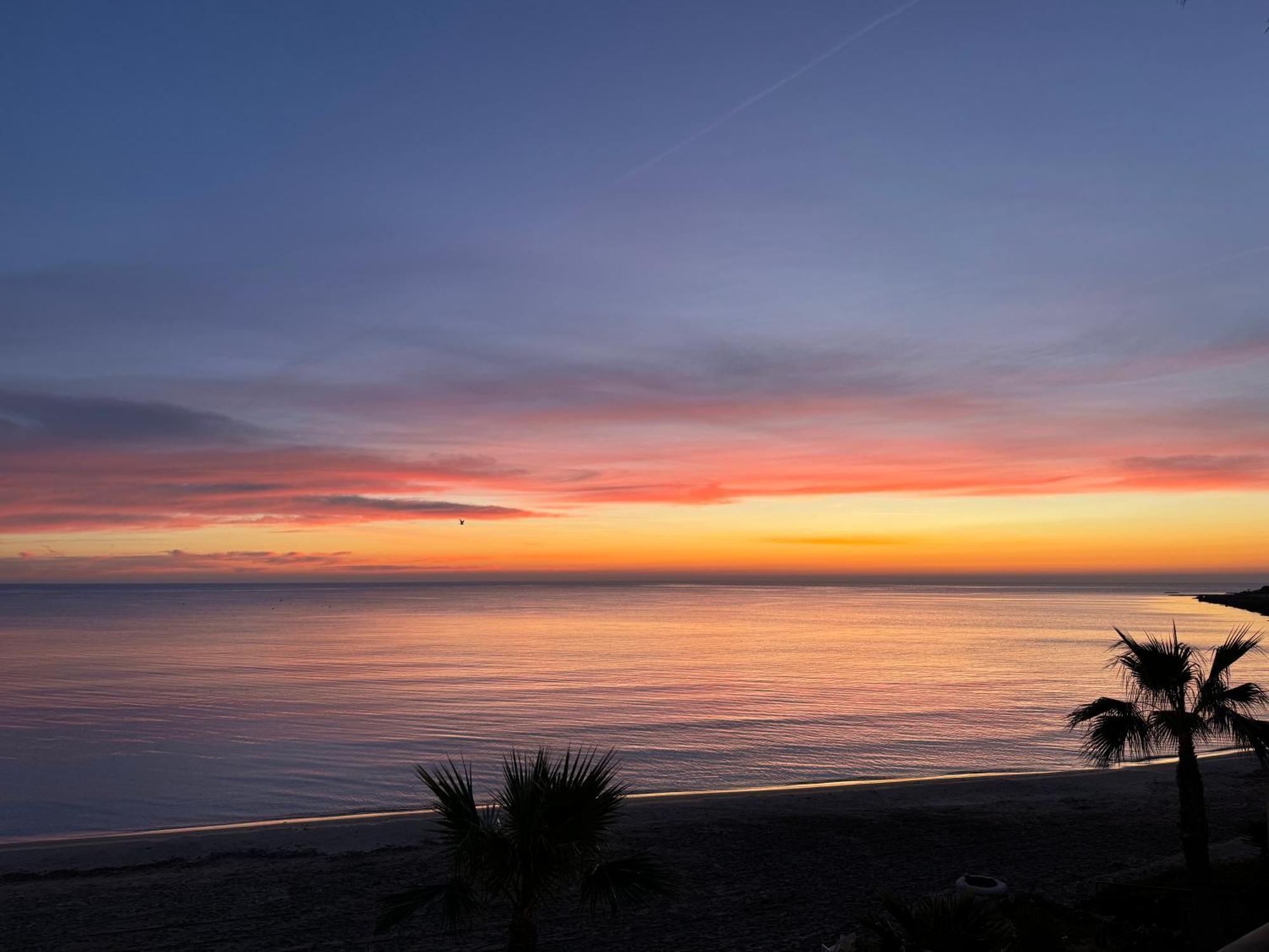Excepcional Apartamento Amanecer Al Borde De Playa Y Mar, En Chalet Roquetes アリカンテ エクステリア 写真